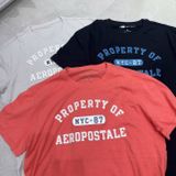  Áo phông nam AE nhiều mẫu có hình 0313008 G5-T1 