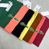  Áo phông trơn LACOSTE G1T1 
