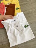  Áo phông trơn LACOSTE G1T1 