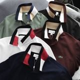  Polo LACOSTE 5 màu 
