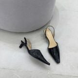  Starkela 2025 1368 (4.5cm) DK 