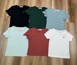  Áo phông nữ LEVIS 6 màu (TT) 