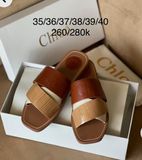  Dép Chloe 2 màu DK 