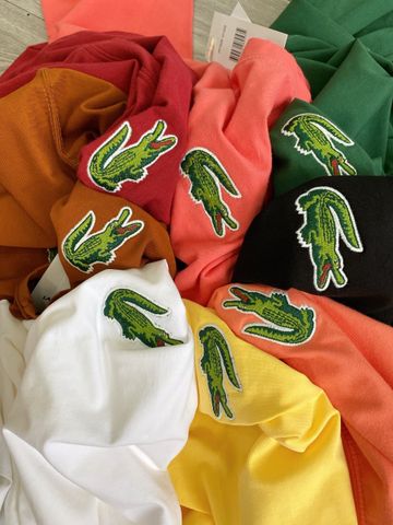  Áo phông trơn LACOSTE G1T1 SALE 