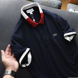  Polo LACOSTE 5 màu 