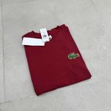  Áo phông trơn LACOSTE G1T1 