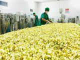  Xịt tóc nước cất hoa bưởi 2025 0312020 