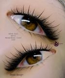  Mi volume 4D l Độ dày 0.07 cong C\D và Dễ bắt keo 