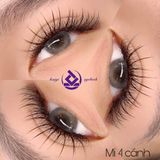  Mi Fan Sẵn, mi 4D - 0.07T - cong C/D - mi 4 Lá tự nhiên - mi fan thủ công, chân fan nhỏ, dễ bắt keo - KAIYI EYELASH 