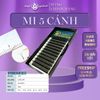  Mi Fan Sẵn, mi 5D - 0.07T - cong C/D - mi 5 Lá tự nhiên - mi fan thủ công, chân fan nhỏ, dễ bắt keo - KAIYI EYELASH 