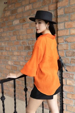 Sơ Mi Voan 10609646