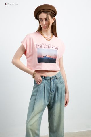 Áo thun hình ngắn tay