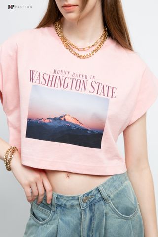 Áo thun hình ngắn tay