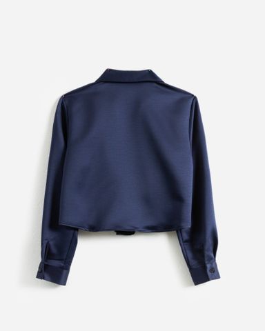 Sơ Mi Lụa Tay Dài 10611764
