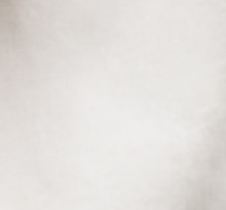 Áo khoác vest croptop