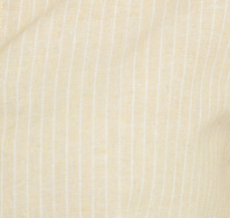 Áo sơ mi croptop 10607281