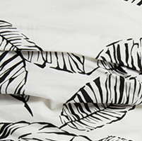 Áo sơ mi bẹt vai