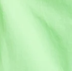 Áo thun ngắn tay 10207234