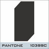 PANTONE-10399C-BLACK