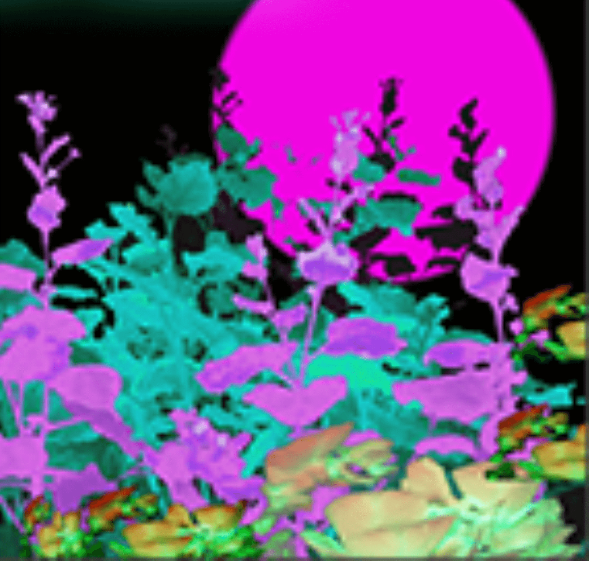 Sơn Phát Sáng- Màu Hồng– MC-2296L  Glow In Dark