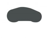 CAR-7325 - Màu Sơn Xe Ford- 7325-Magnetic