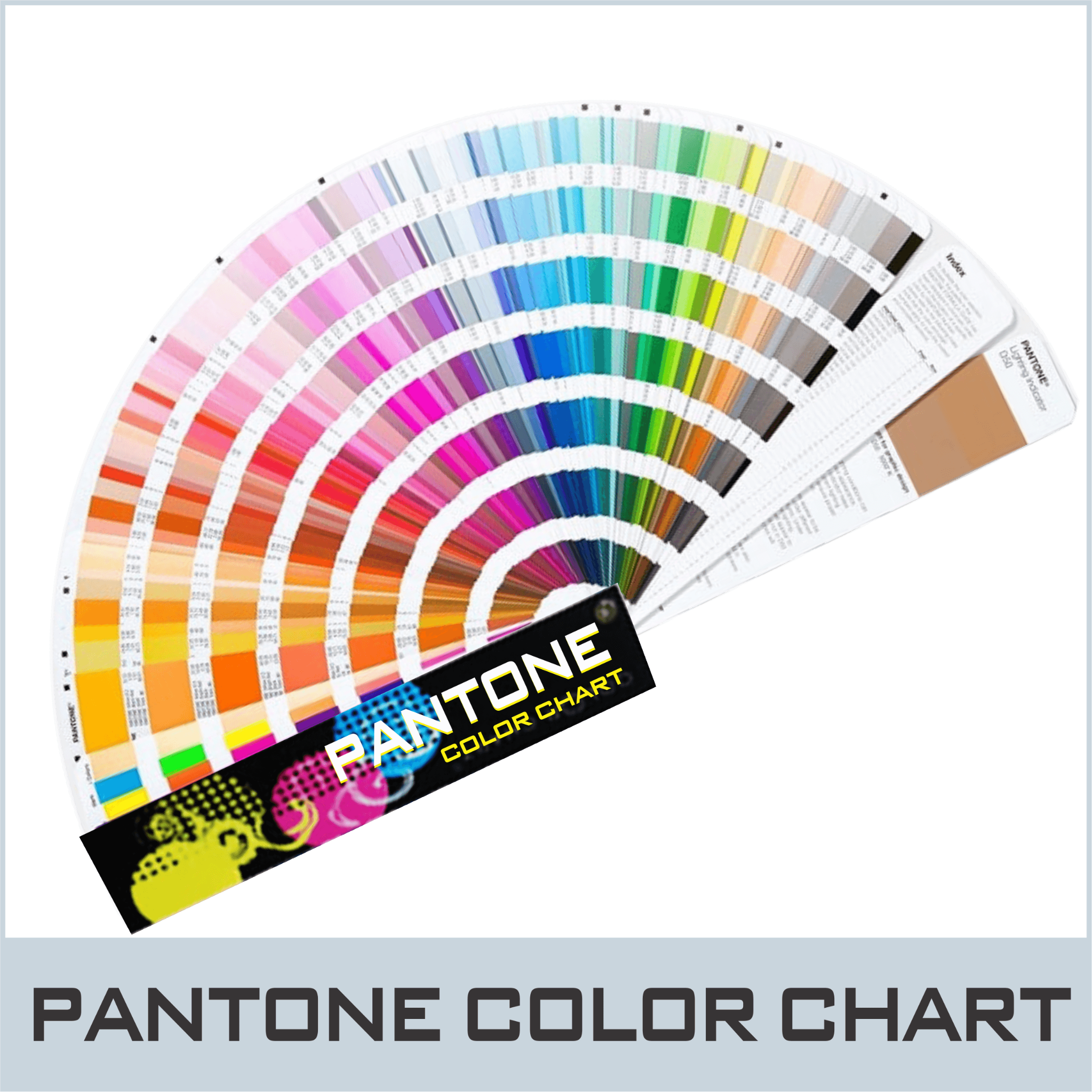 PANTONE-145C-OCHRE YELLOW/JAUNE