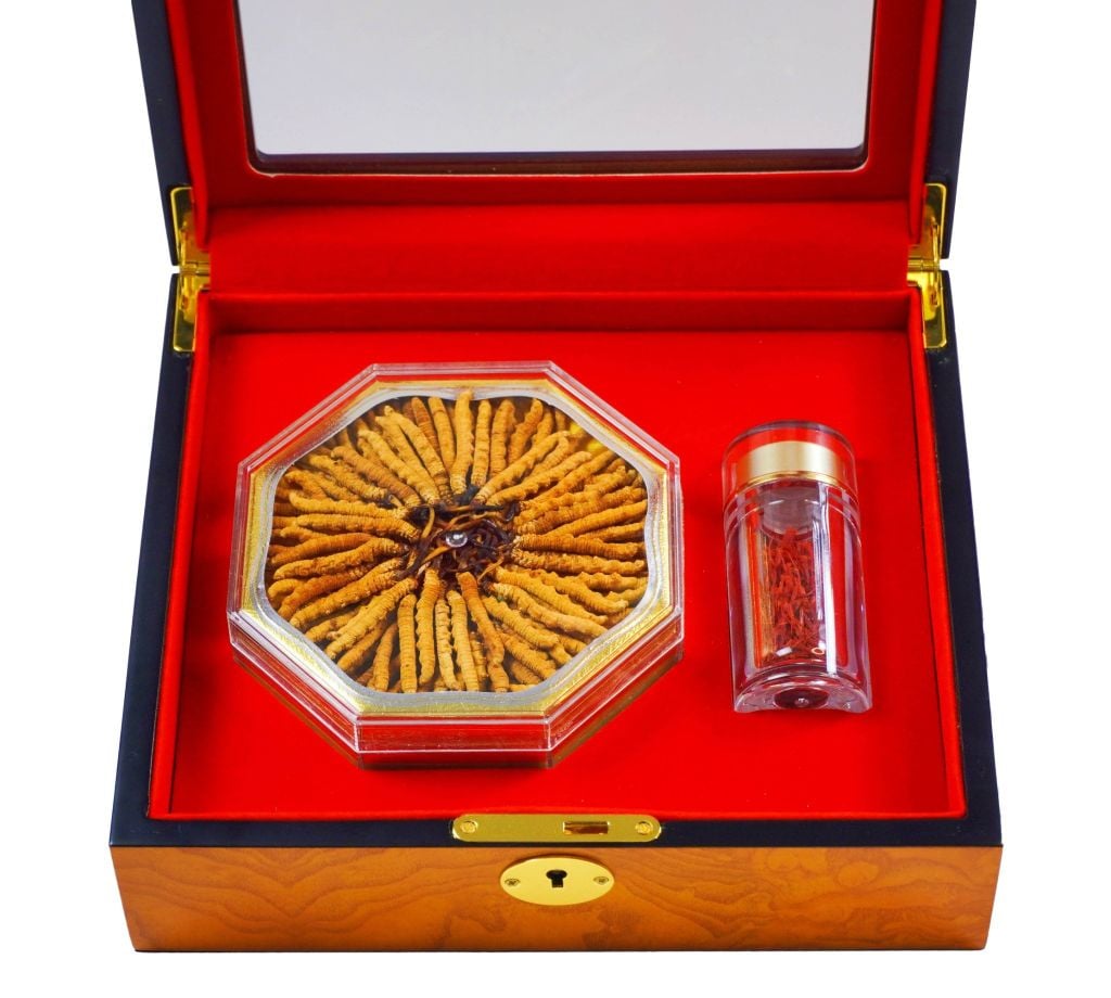 Đông Trùng Hạ Thảo Tây Tạng Vip - 22con/10g Hàng Tuyển Chọn