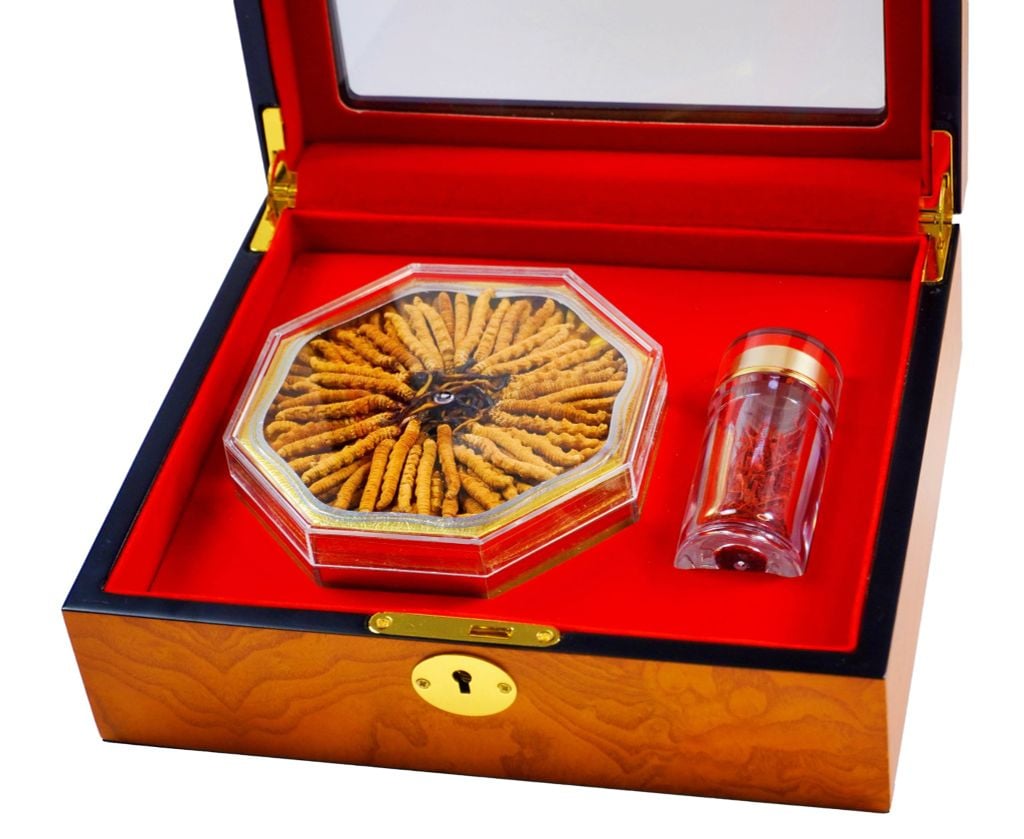 Đông Trùng Hạ Thảo Tây Tạng Vip - 22con/10g Hàng Tuyển Chọn
