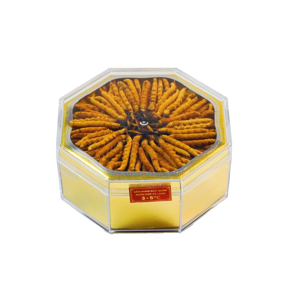 Đông Trùng Hạ Thảo Tây Tạng Vip - 22con/10g Hàng Tuyển Chọn