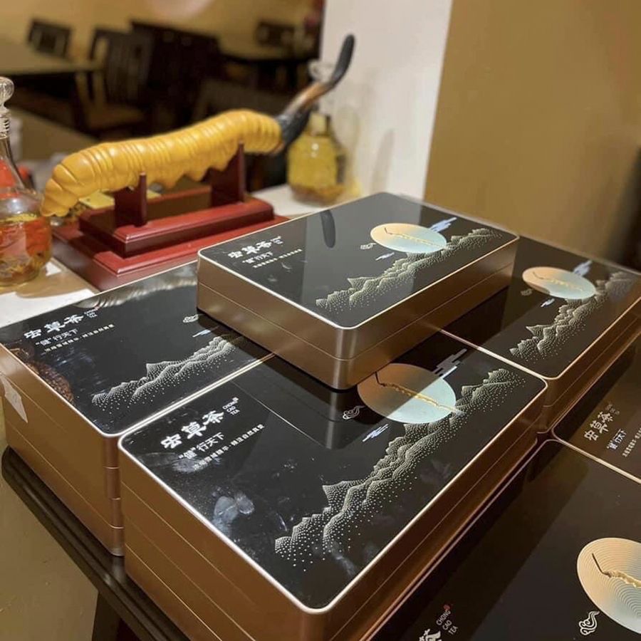 Set Trà Dưỡng Nhan Đông Trùng Hạ Thảo - Loại Phổ Thông