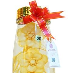 Bình Hoa Sâm 2,5 Lít Tỉa Hoa Mai