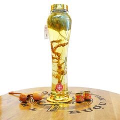 Bình Rượu Sâm Ngọc Linh Kontum 3,4 Lít