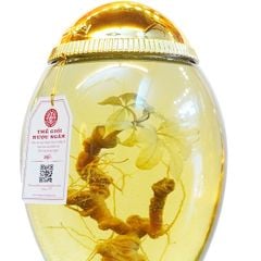 Bình Sâm Ngọc Linh Kontum 2,5 Lít