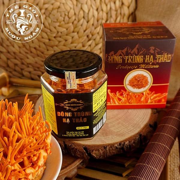 Nấm Đông Trùng Hạ Thảo Khô 10g