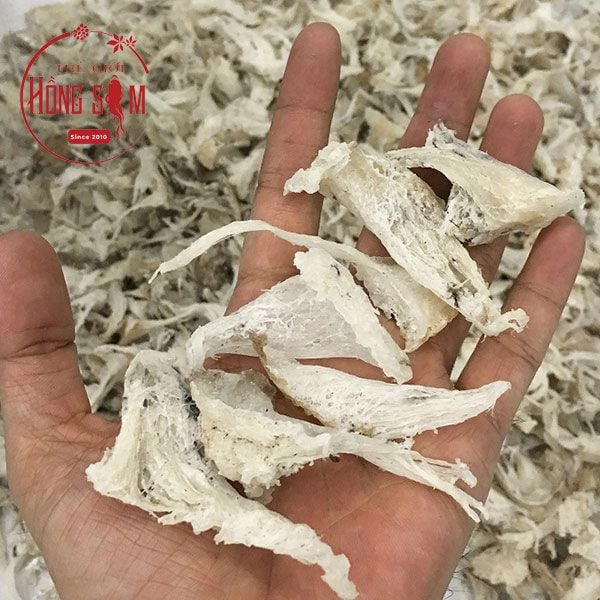 Chân Tổ Yến Thô Nguyên Chất 100g