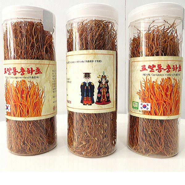 Đông Trùng Hạ Thảo Hàn Quốc Sấy Khô  Daedong Hộp 100g