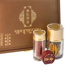 Đông Trùng Hạ Thảo Tây Tạng Vip - 30con/10g Hàng Tuyển Chọn