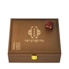Đông Trùng Hạ Thảo Tây Tạng Vip - 20con/10g Hàng Tuyển Chọn