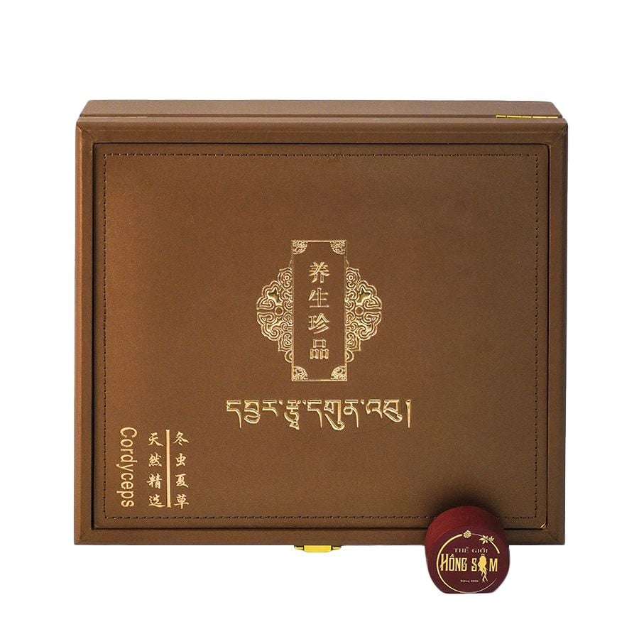 Đông Trùng Hạ Thảo Tây Tạng Vip - 20con/10g Hàng Tuyển Chọn