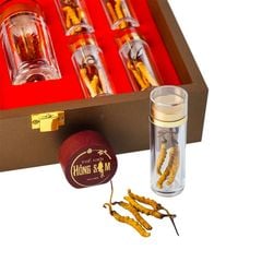 Đông Trùng Hạ Thảo Tây Tạng Vip - 40con/10g Hàng Tuyển Chọn