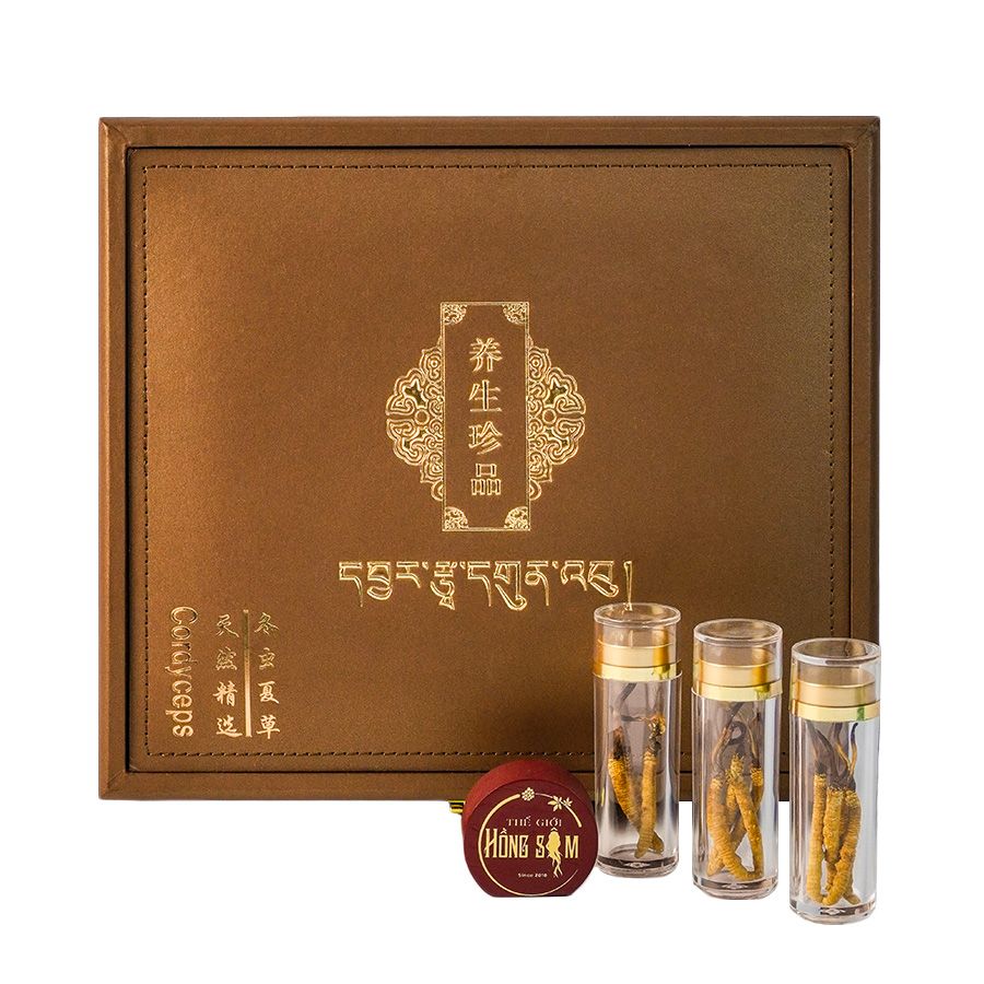 Đông Trùng Hạ Thảo Tây Tạng Vip - 40con/10g Hàng Tuyển Chọn