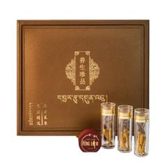 Đông Trùng Hạ Thảo Tây Tạng Vip - 40con/10g Hàng Tuyển Chọn