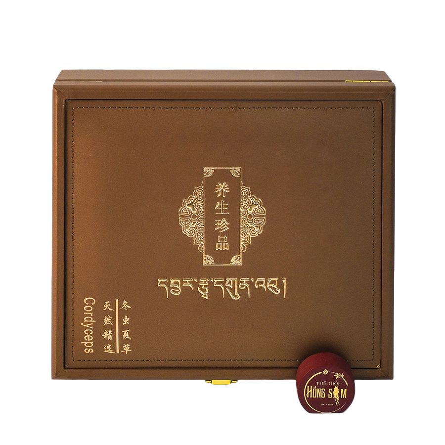 Đông Trùng Hạ Thảo Tây Tạng Vip - 40con/10g Hàng Tuyển Chọn