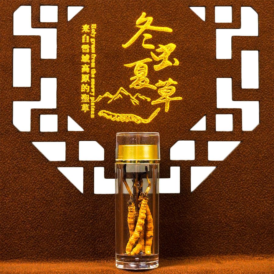 Đông Trùng Hạ Thảo Tây Tạng Vip - 50con/10g Hàng Tuyển Chọn