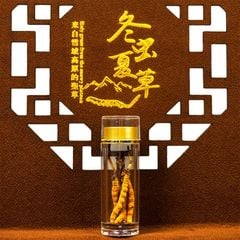 Đông Trùng Hạ Thảo Tây Tạng Vip - 50con/10g Hàng Tuyển Chọn