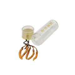 Đông Trùng Hạ Thảo Tây Tạng Vip - 50con/10g Hàng Tuyển Chọn