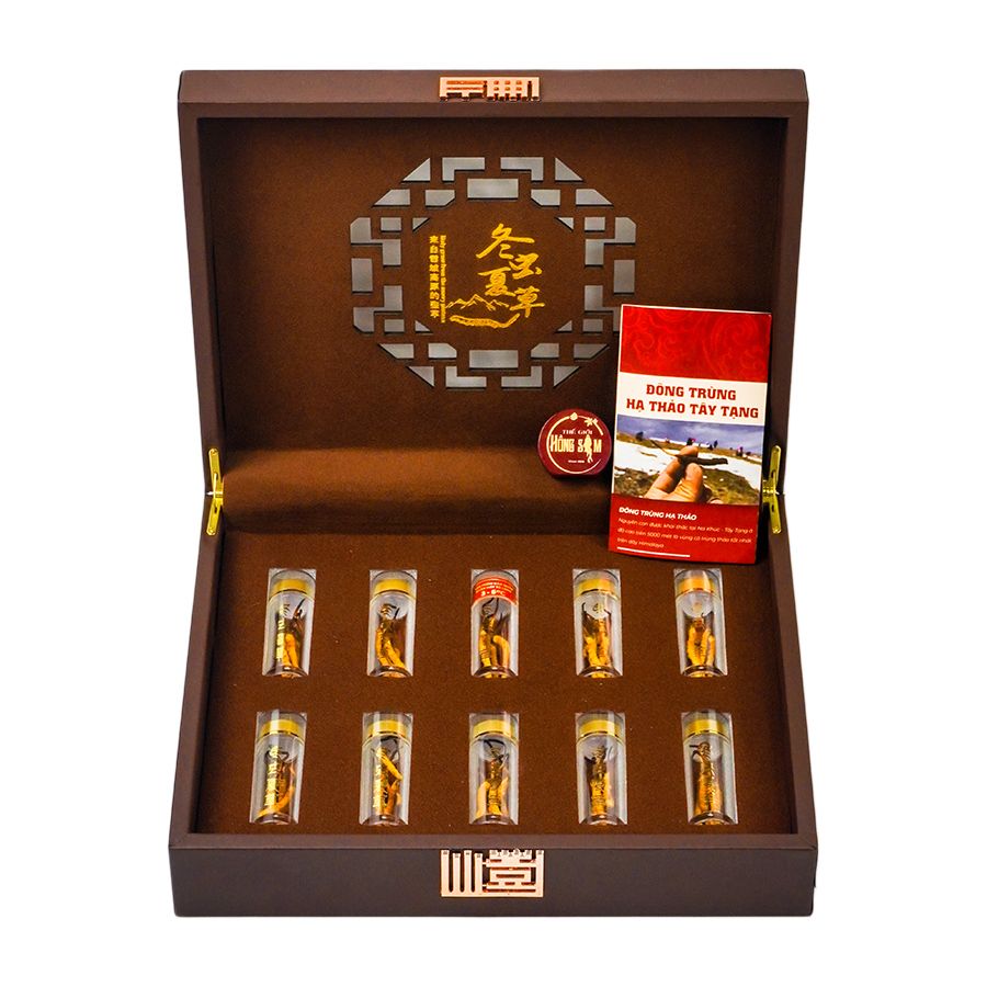 Đông Trùng Hạ Thảo Tây Tạng Vip - 50con/10g Hàng Tuyển Chọn
