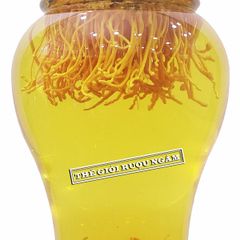 Bình Nấm Đông Trùng Hạ Thảo 3 Lít