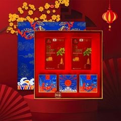 Hộp Quà Biếu Tết DKG.01 Daedong 2025