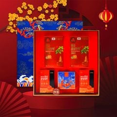 Hộp Quà Biếu Tết DKG.02 Daedong 2025